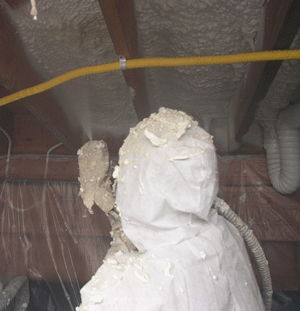 Memphis TN crawl space insulation